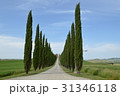 トスカーナの景色 31346118