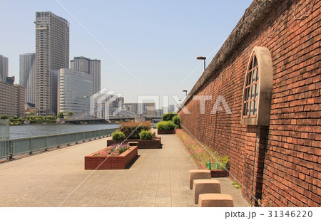 隅田川勝どき 隅田川勝どき 31346220
