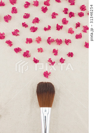Pink crape myrtle petals and make up brush  Pink crape myrtle petals and make up brush  31346254