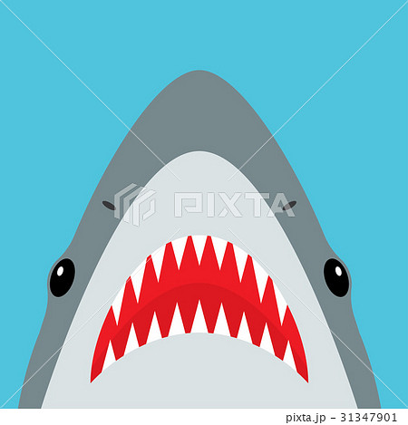 Shark With Open Mouth And Sharp Teethのイラスト素材
