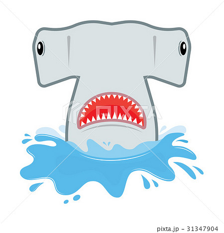 hammerhead shark with open mouth. hammerhead shark with open mouth. 31347904