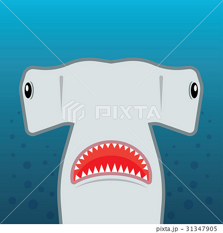 hammerhead shark with open mouth 31347905