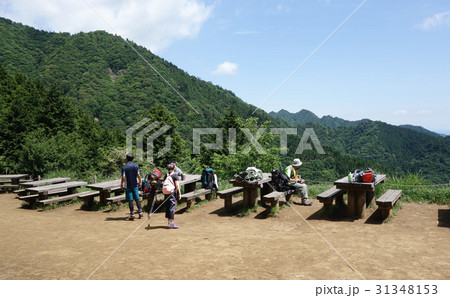 大山登山道の見晴台（神奈川県伊勢原市） 31348153