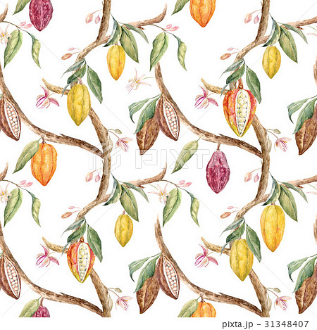 Watercolor Cacao Pattern Stock Illustration