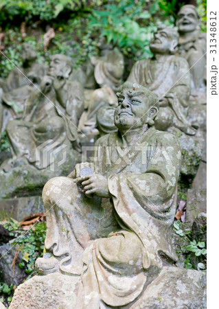 南蔵院 31348612