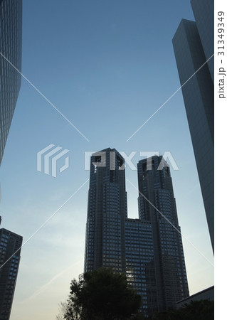 新宿副都心（東京都町）夕景 31349349