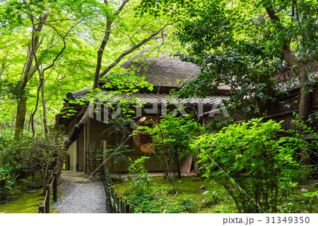 京都 嵯峨野 祇王寺 京都 嵯峨野 祇王寺 31349350
