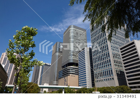 肥後橋の高層ビル 肥後橋の高層ビル 31349491