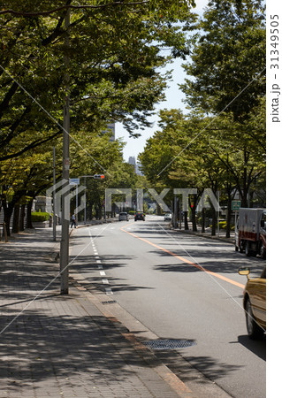 大阪の街並み 大阪の街並み 31349505