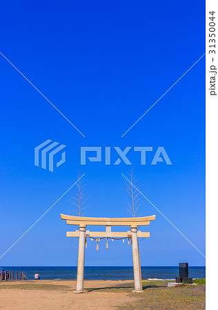 サーフィン会場千葉県一宮町釣ヶ崎海岸広場付近 サーフィン会場千葉県一宮町釣ヶ崎海岸広場付近 31350044