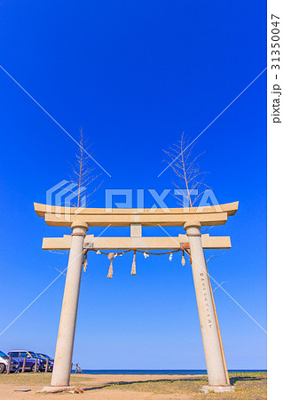 サーフィン会場千葉県一宮町釣ヶ崎海岸広場付近 サーフィン会場千葉県一宮町釣ヶ崎海岸広場付近 31350047