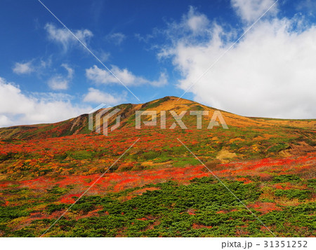 紅葉の栗駒山 31351252
