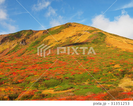 紅葉の栗駒山 31351253