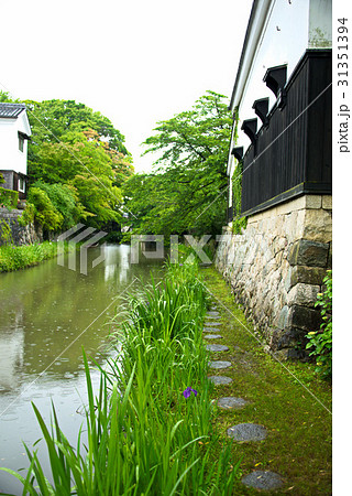 雨の八幡堀 雨の八幡堀 31351394