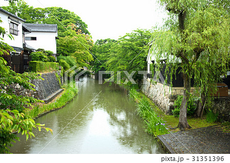 雨の八幡堀 雨の八幡堀 31351396
