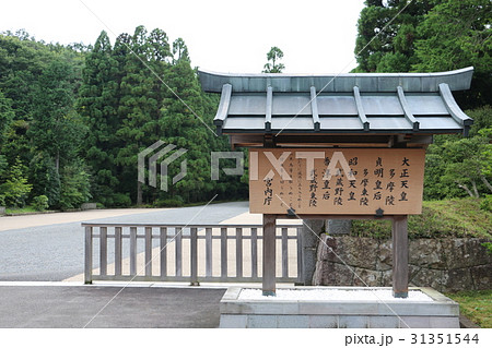 多摩御陵 31351544