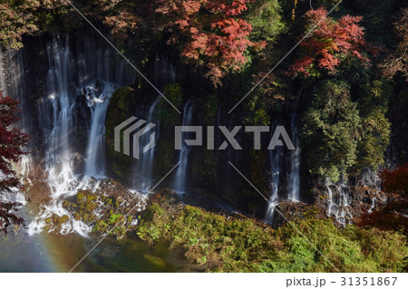 秋の白糸の滝 31351867