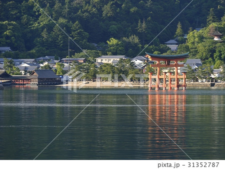 早朝海からの厳島神社と大鳥居 早朝海からの厳島神社と大鳥居 31352787