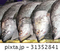 fresh sea bass 31352841