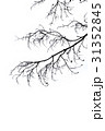 silhouette branch white background 31352845