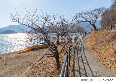 walk way in Nagasaki park side of Kawaguchiko lake 31352922