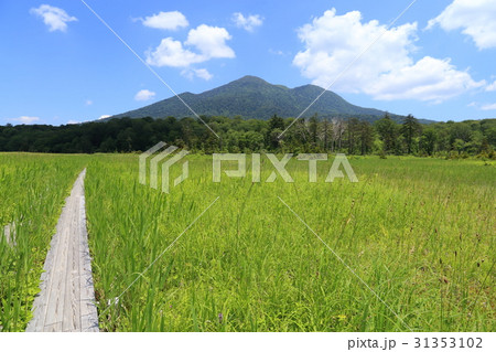 夏の尾瀬 下田代の只見川付近から燧ケ岳を見る 31353102