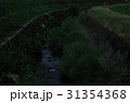 源氏蛍の乱舞　京都 31354368