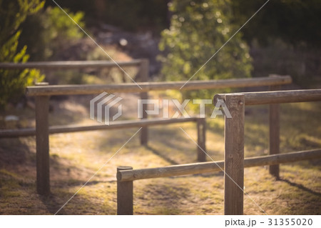 Outdoor equipment in boot camp Outdoor equipment in boot camp 31355020