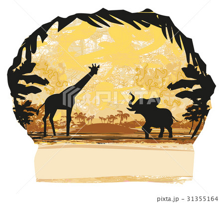 African savannah African savannah 31355164