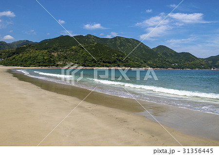 新鹿海水浴場 新鹿海水浴場 31356445