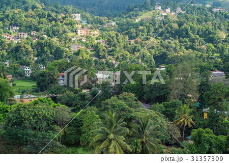 Beautiful view of Kandy in Sri Lanka 31357309