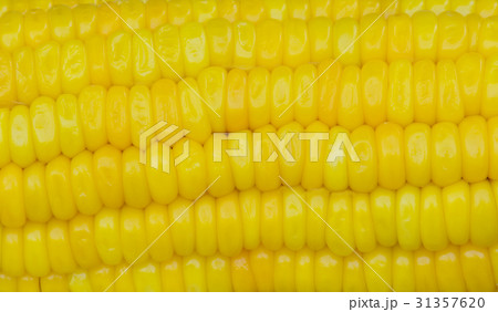 close up of yellow corn seeds texture close up of yellow corn seeds texture 31357620