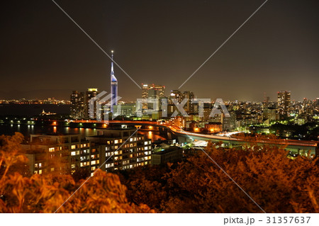 福岡シーサイドももち　夜景　愛宕神社 31357637