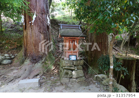 滋賀　日吉大社　走井祓殿社 31357954
