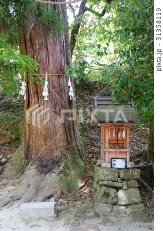 滋賀　日吉大社　走井祓殿社 31358119