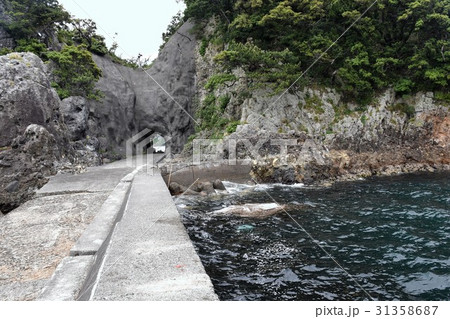 犬走島 犬走島 31358687