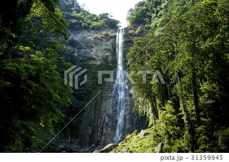 那智大滝 那智大滝 31359945