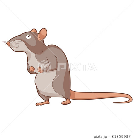 Cartoon smiling Rat Cartoon smiling Rat 31359987