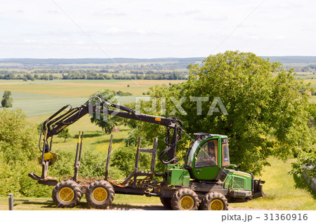 A forest carrier at the edge 31360916