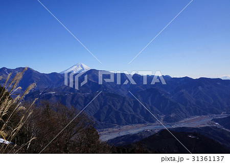 富士山 冬の身延山より 富士山 冬の身延山より 31361137
