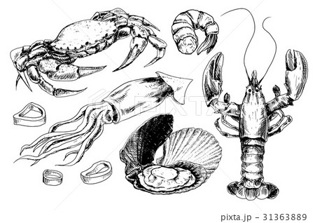 Seafood hand drawn collection 31363889