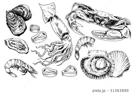 Seafood hand drawn collection 31363890