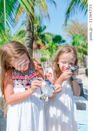 Little kids with a small turtles in hands in the Little kids with a small turtles in hands in the 31364733