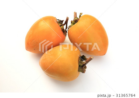 渋柿 31365764