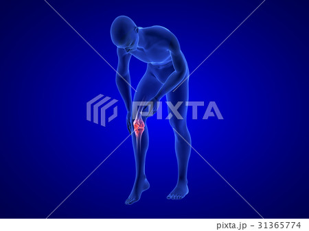 Knee Pain. Blue Human Anatomy Body 3D render on 31365774