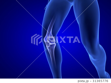 Knee Pain. Blue Human Anatomy Body 3D render on 31365776