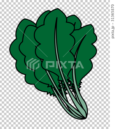 ほうれん草 31365870