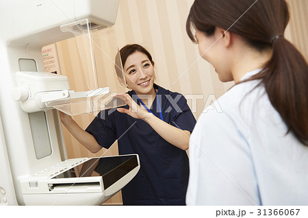 病院 31366067