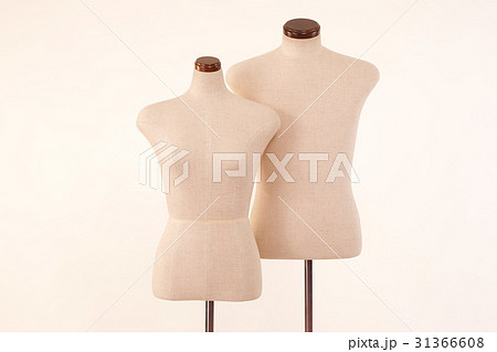 男女トルソー 男女トルソー 31366608