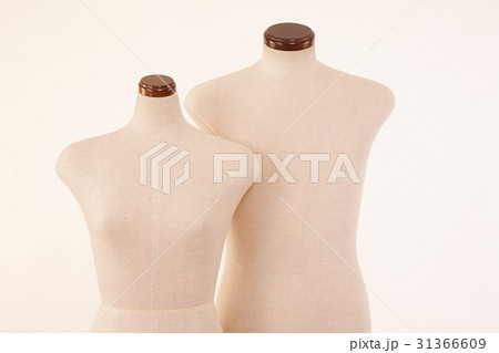 男女トルソー 31366609